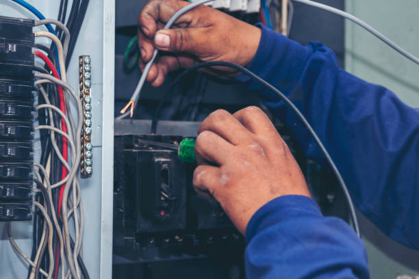 Best Affordable Electrician  in Clintondale, NY