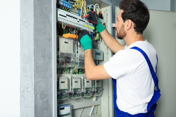 Best Electric Panel Repair  in Clintondale, NY