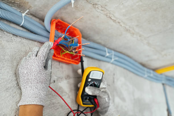 Best Electrical System Inspection  in Clintondale, NY